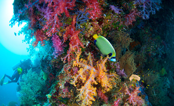 Mu Ko Similan 