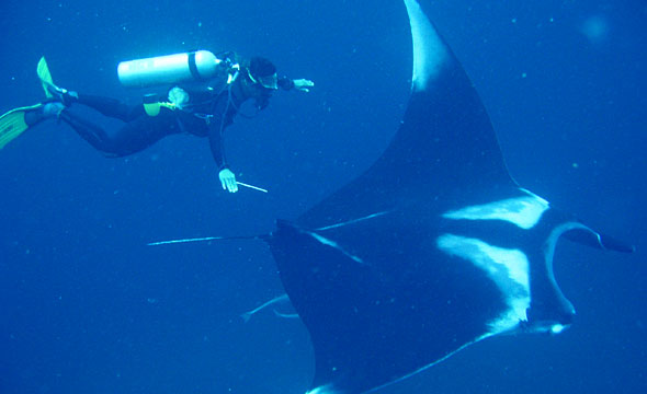 Mu Ko Similan 