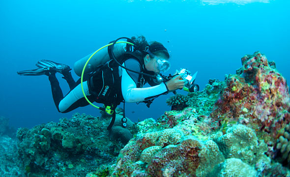 Mu Ko Similan 