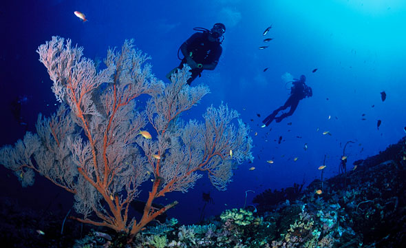 Mu Ko Similan 