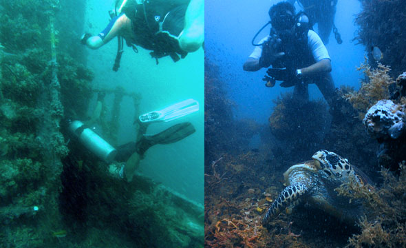 Pattaya Dive Sites