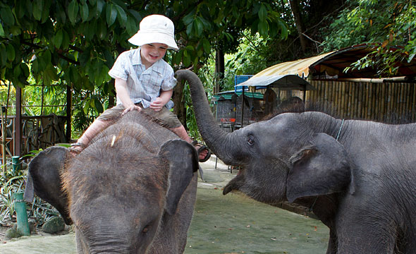 Amazing Bukit Safari