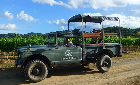 Hua Hin Hills Vineyard