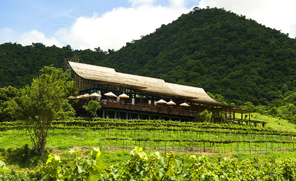 Hua Hin Hills Vineyard