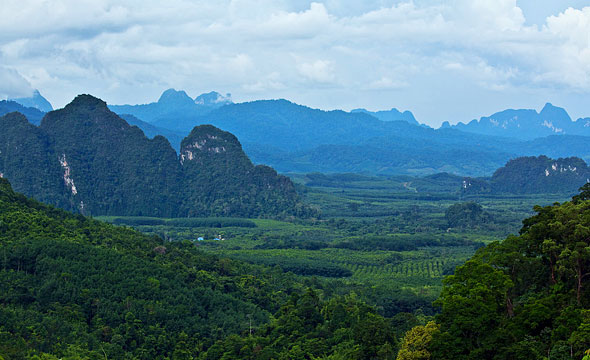 Khao Sok