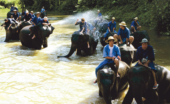 ศูนย์อนุรักษ์ช้างไทย