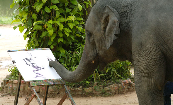 Thai Elephant Conservation Centre