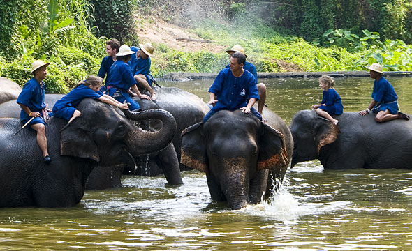 Thai Elephant Conservation Centre