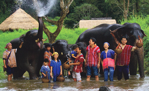 Patara Elephant Camp
