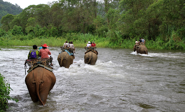 Ranti River Elephant Camp