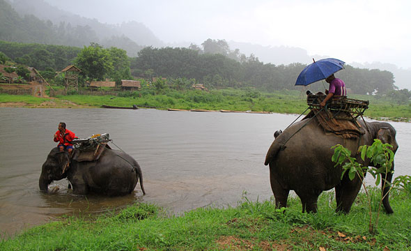 Ranti River Elephant Camp