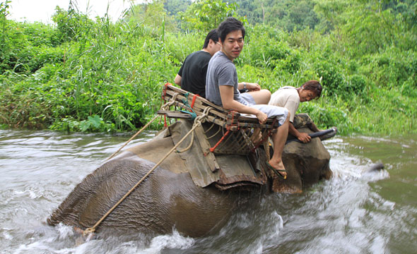 Ranti River Elephant Camp