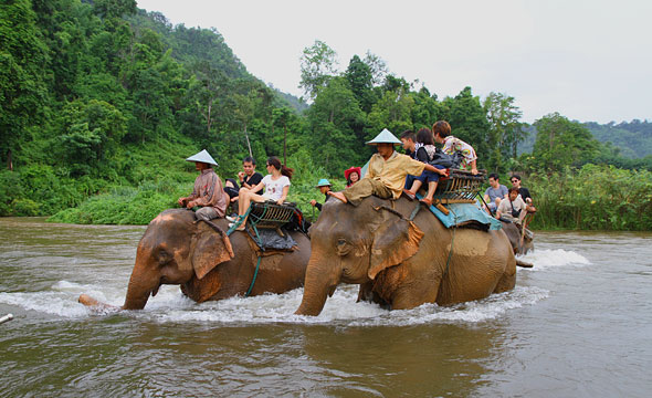 Ranti River Elephant Camp