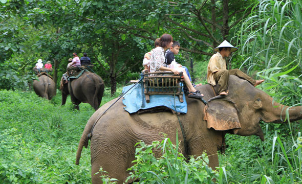 Ranti River Elephant Camp