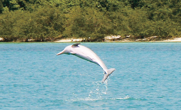 Hat Khanom-Mu Ko Thale Tai National Park