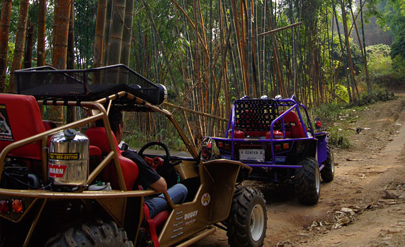 Chiang Mai X-Centre