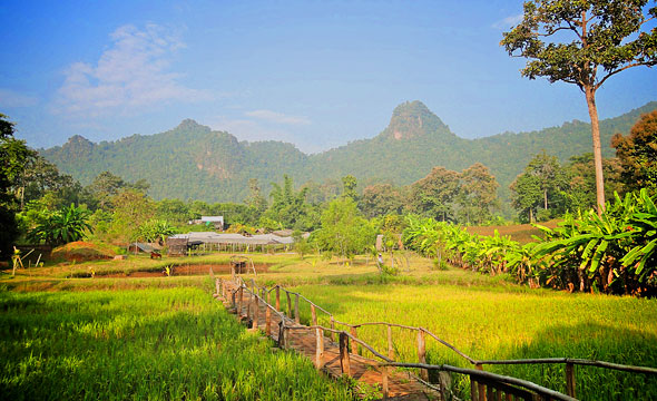 Daradalay Banndin Farm