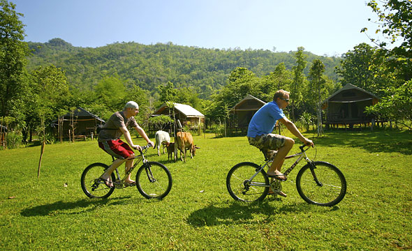 Hin Tok River Camp 