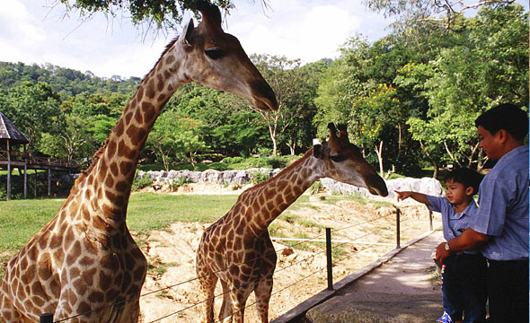 Khao Khiao Open Zoo