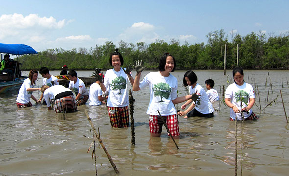 Khlong Khlon Mangrove Forest