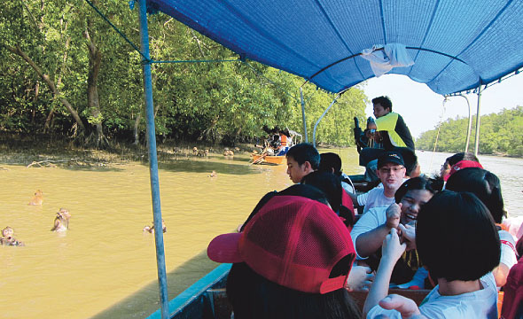 Khlong Khlon Mangrove Forest