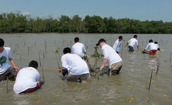 Khlong Khlon Mangrove Forest