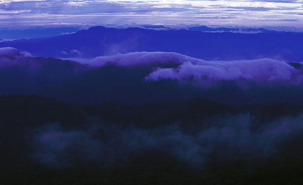 Doi Pha Hom Pok (Mae Fang)