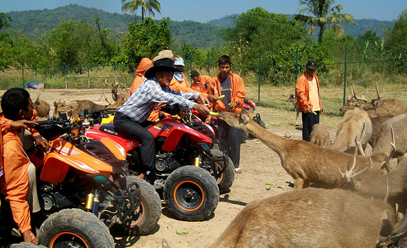 Sarika Explorer - Adventure Activity Centre 