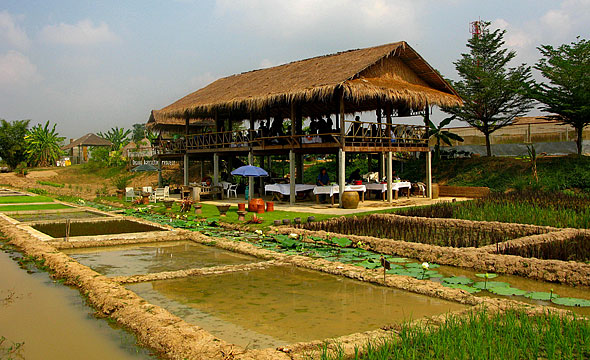 Agriculture Project Sukhothai Airport