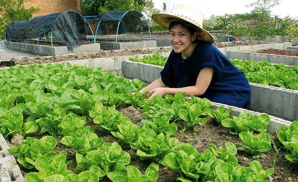 โครงการเกษตรอินทรีย์สนามบินสุโขทัย