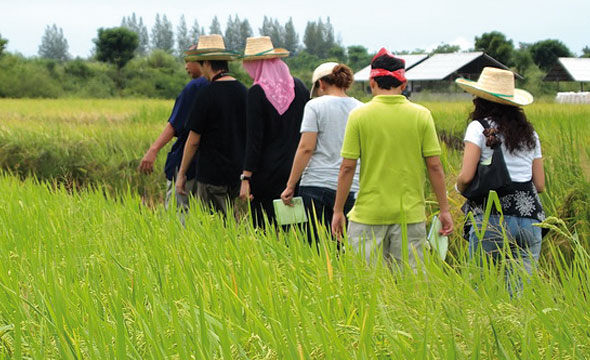 โครงการเกษตรอินทรีย์สนามบินสุโขทัย