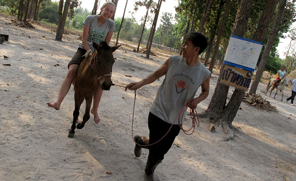 Native Horse Conservation Club-Sirindhorn