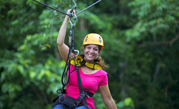 Flight of the Gibbon