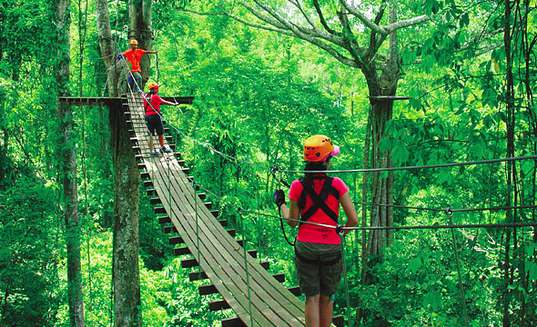 Flight of the Gibbon, Mae Kampong