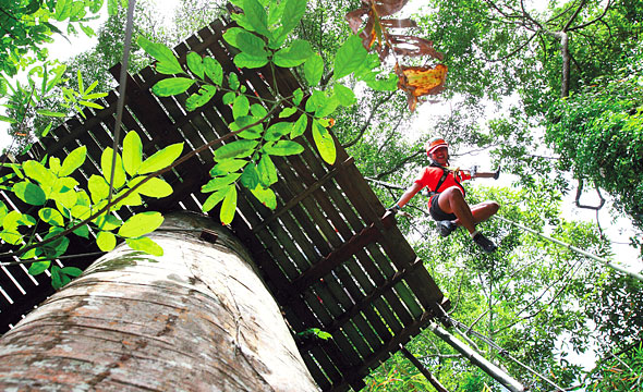 Flight of the Gibbon, Mae Kampong