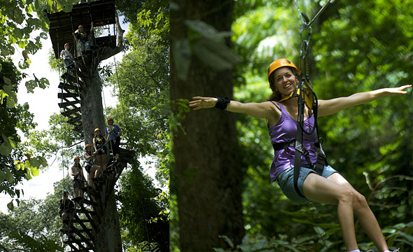 Flight of the Gibbon, Mae Kampong