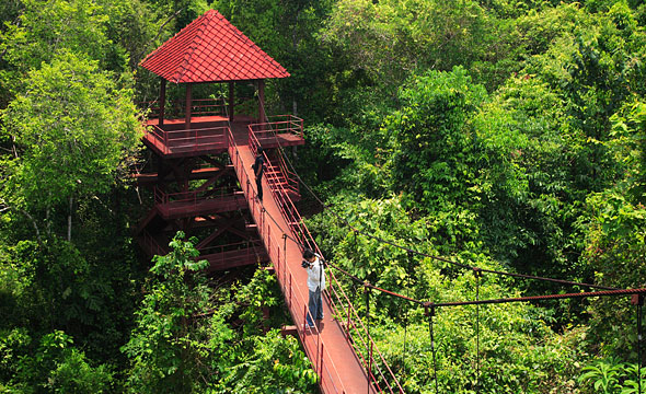 The Southern International Botanical Garden (Thung Khai)