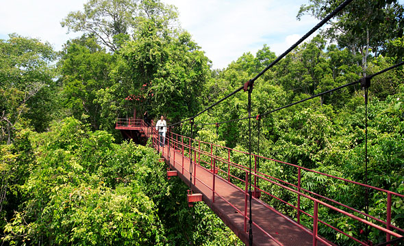 The Southern International Botanical Garden (Thung Khai)