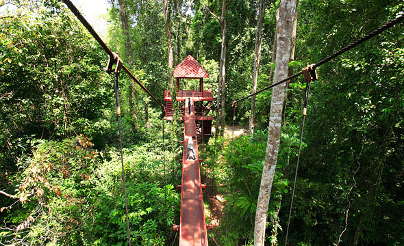 The Southern International Botanical Garden (Thung Khai)