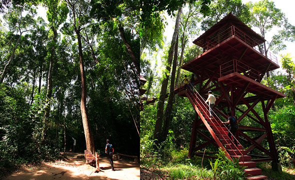 The Southern International Botanical Garden (Thung Khai)